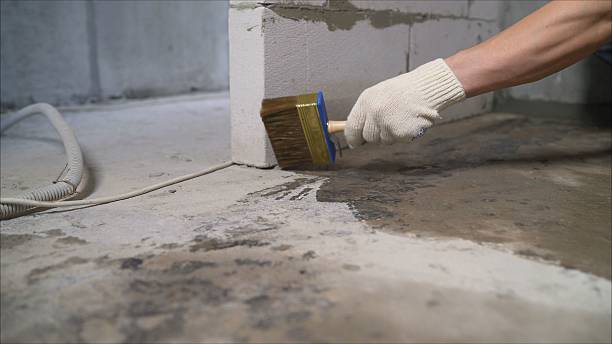 SJ Waterproofing Pros Waterproofing coverage map for Butler, AL and surrounding area